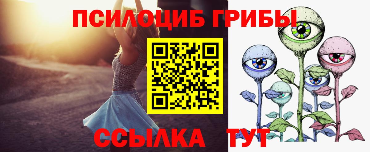 Галлюциногенные грибы Psilocybe Амурск