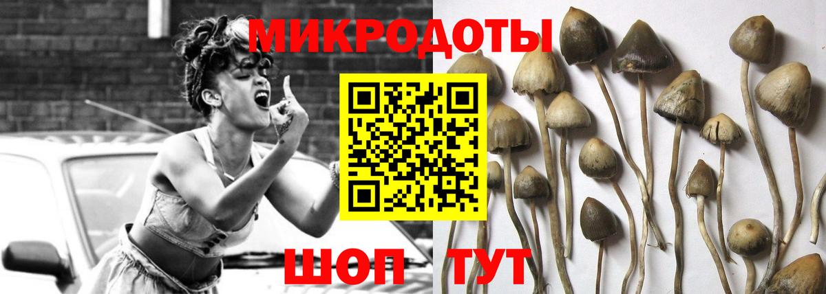 Псилоцибиновые грибы мицелий  Галлюциногенные грибы Cubensis  Вход с VPN  Амурск 